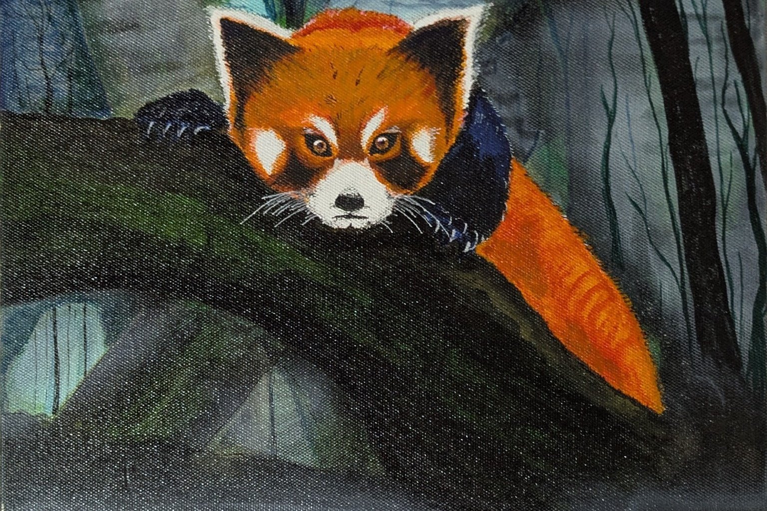 Red Panda