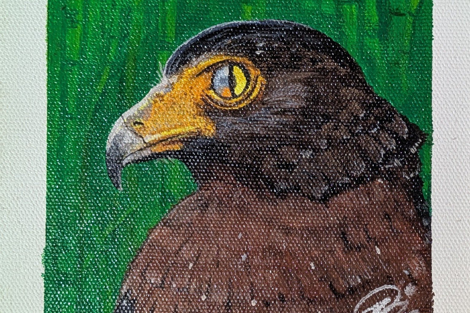 Eagle Eye